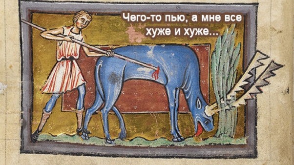 Фаворит императрицы