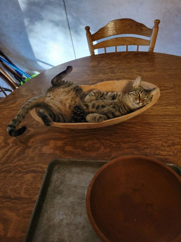 Картинки на 27.02.2026