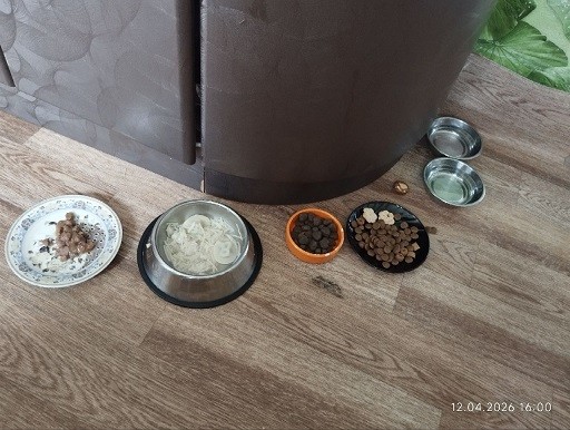Мясная диета