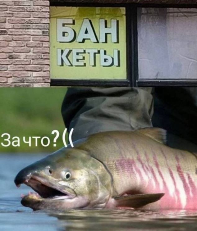 Картинки для деградации 180 (разной степени свежести)