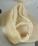 Манты для мужа