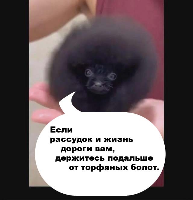 И действительно, это что бл*ть?