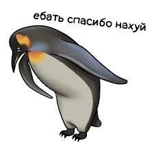 Мы не знаем, что это такое