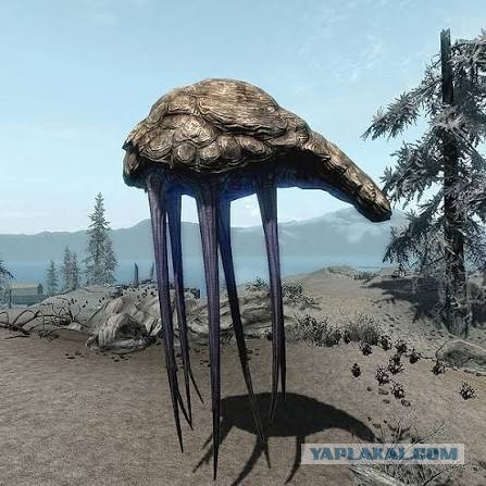 Таинственная фигура на Марсе