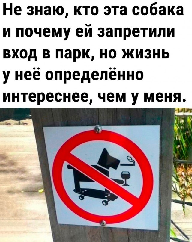 «Усыновили»