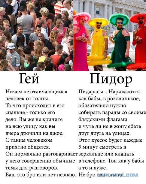 Queen: то, что вы наверняка раньше о них не знали