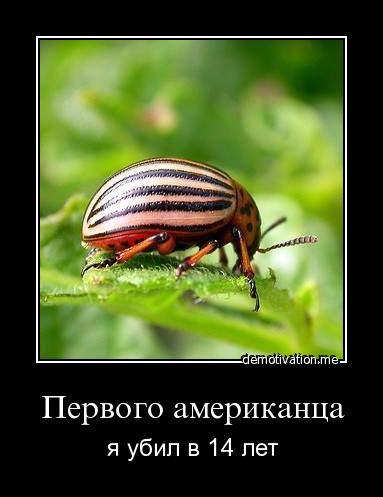 Кишинёв