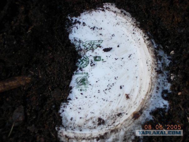 Поисковики