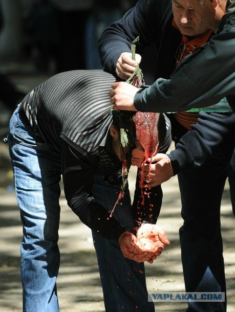 Митинг в Грузии