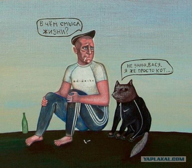 Коты на лавочке