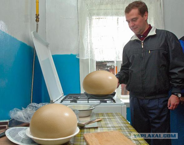 Фотожаба: Медведев жарит яишницу
