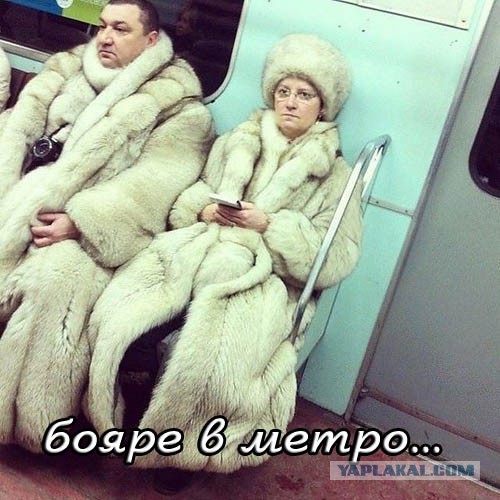 Веселые картинки