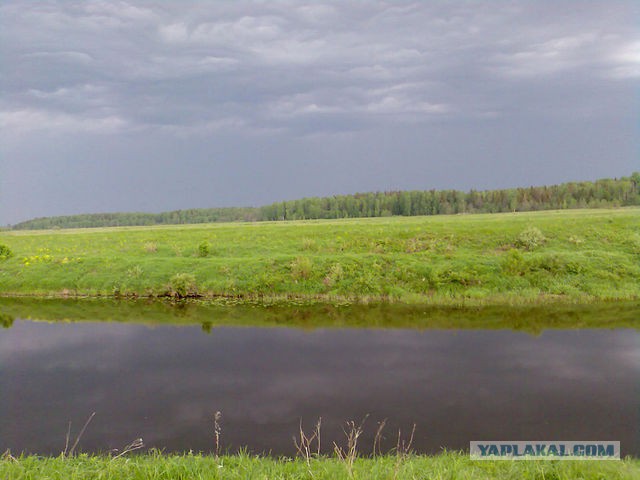 Хочу в Россию.
