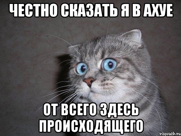 Празднование масленицы в Ставрополе.