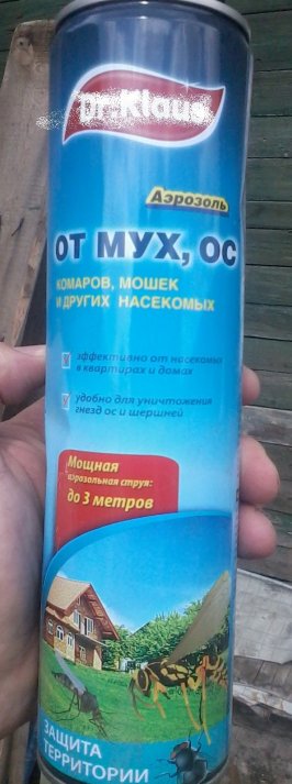 Вскрываем осиное гнездо