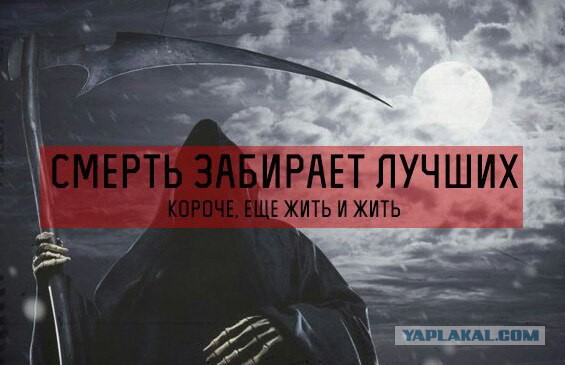 Подборка прикольных картинок