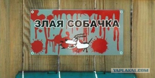 Прикольные объявления и надписи
