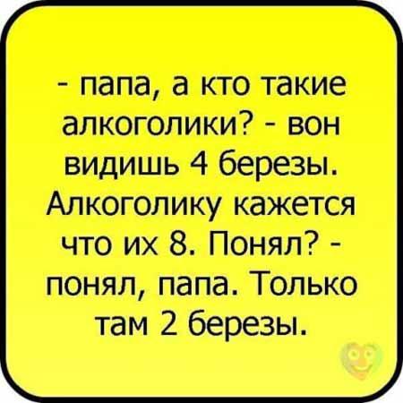 Цитаты из нашей жизни