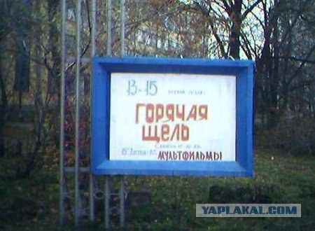 Генпрокуратура: Васильева освобождена законно