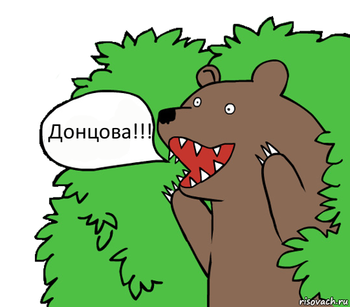 Книги Дарьи Донцовой стали причиной