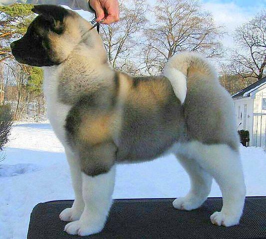 Подборка картинок на среду