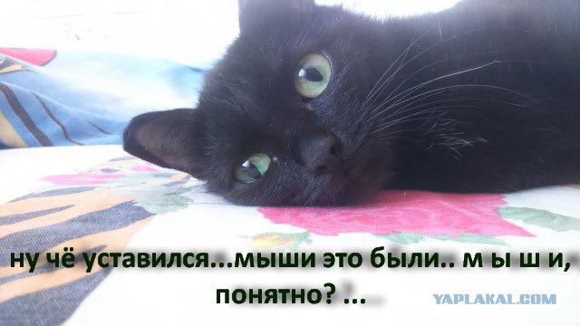 Пост негодования
