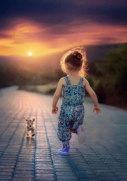 Подборка интересных и веселых картинок