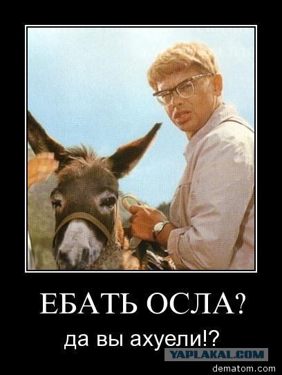 Силовики оцепили село Кенхи