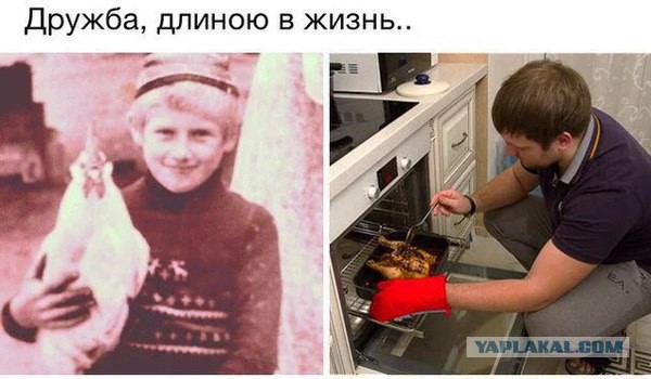 Юмор не для всех