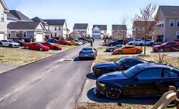 Картинки и приколы из сети