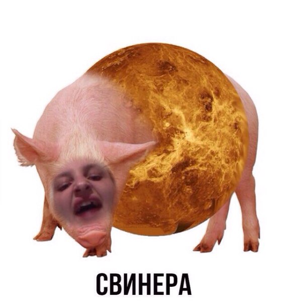 Доза раскумара на новую неделю