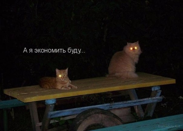 Смешные картинки с надписями 2