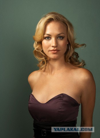 Поляки... - чудо воины... история