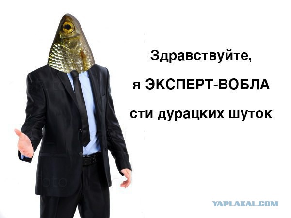 Тупеж и деградация