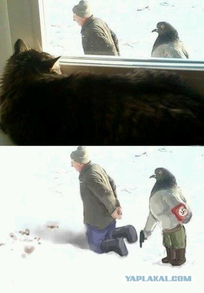 Пятничные ерундушки