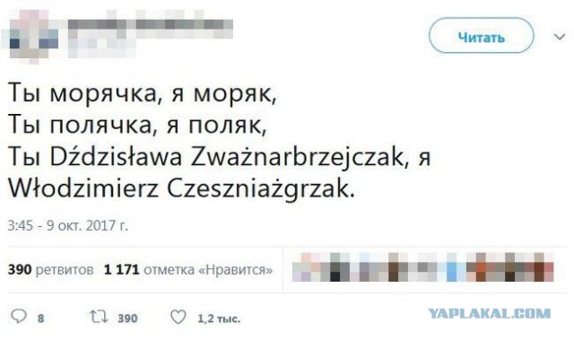 Подборка интересных и веселых картинок