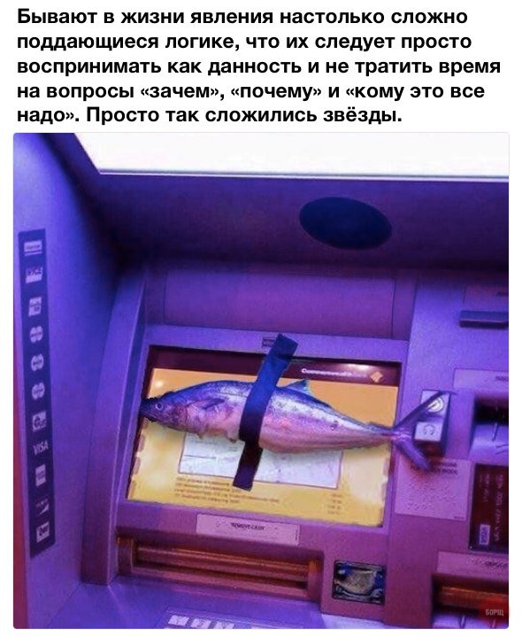 Подборка интересных и веселых картинок