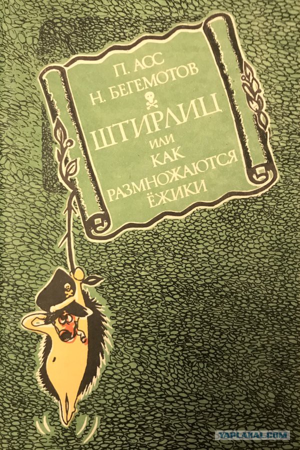 Ёжиков штырит!
