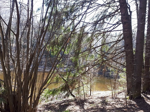 Просто Природа