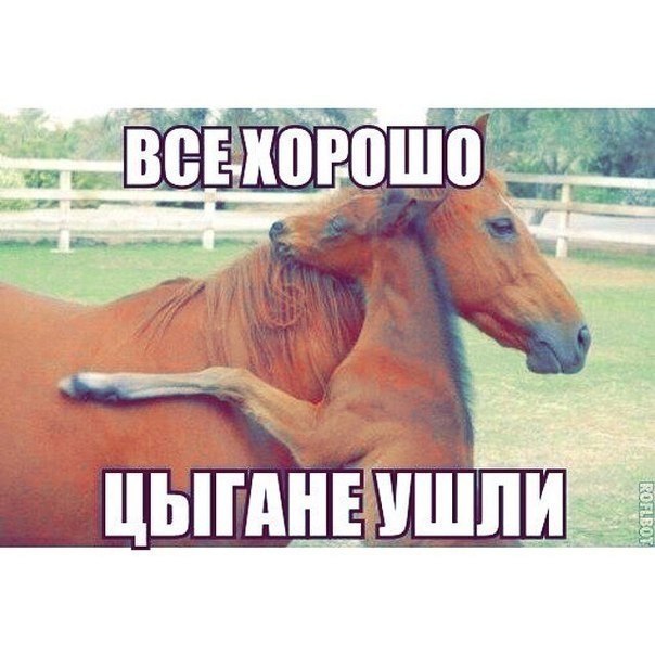 Цыганская свадьба оставила владельцев испанского ресторана без денег