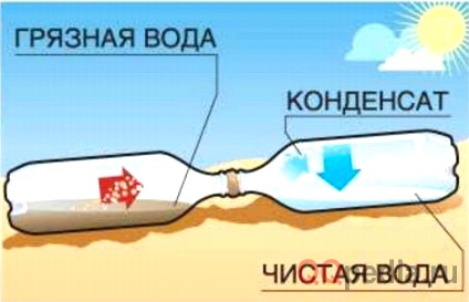 Подросток 49 дней дрейфовал в море в деревянной хижине