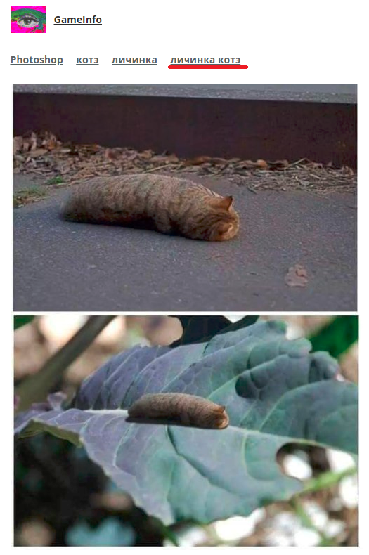 Нестандартный юмор