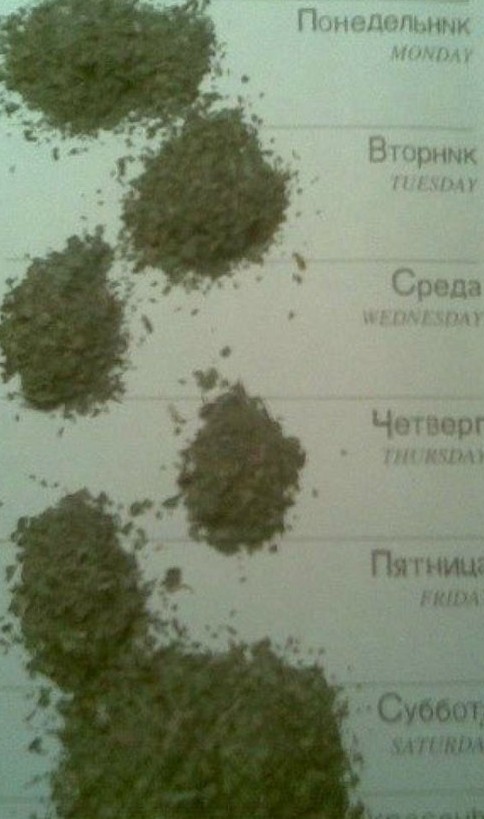 Запоминаем выражения