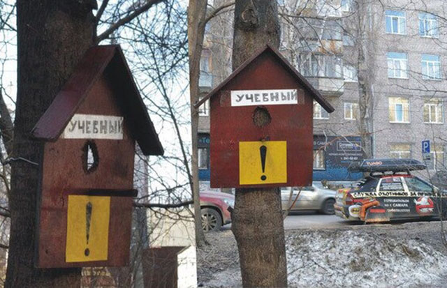 И всё-таки она наша. Лента картинок