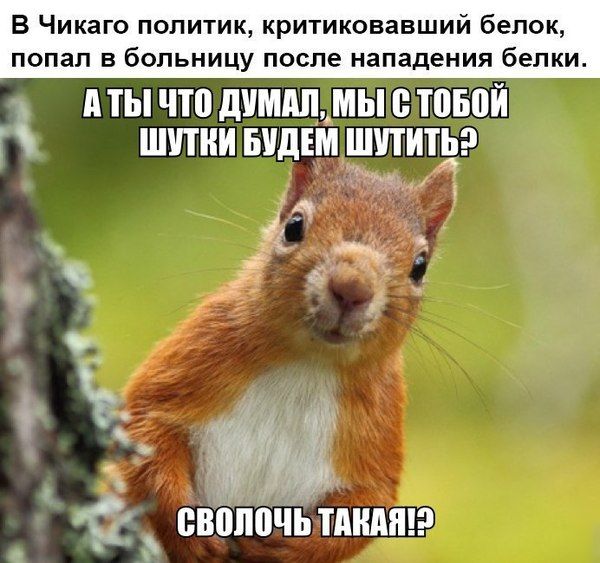 Немного картинок для настроения