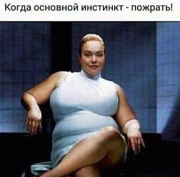 Картинки с надписями,истории и анекдоты