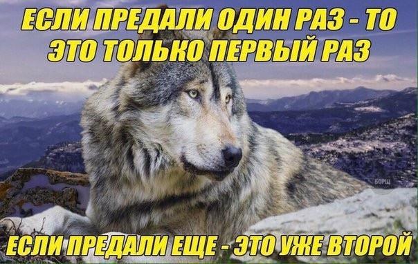 Немного картинок для настроения