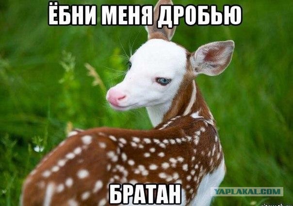 Этот удивительный мир