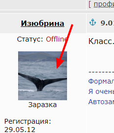Кратко о рыбалке в Амурском заливе