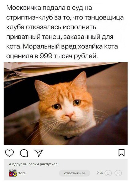 Чуток картинок 15.02.20